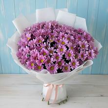 Букет цветов из:  Хризантемы в Ивановское