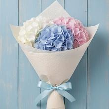 Букет цветов из:  Гортензия в Ивановское