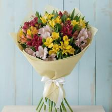 Букет цветов из:  Альстромерии в Ивановское