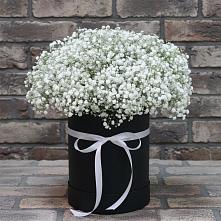 Цветочная композиция из Гипсофила в шляпной коробке в Ивановское